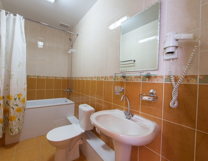 Стандартный 2 местный 1 категории - Санаторий «Жемчужина Кавказа» Ессентуки