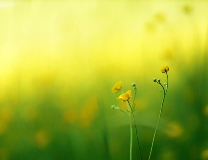 Обмен веществ - Санаторий «Жемчужина Кавказа» Ессентуки