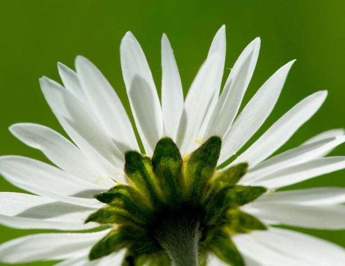 Желудочно-кишечный тракт - Лечебные программы - Санаторий «Жемчужина Кавказа» Ессентуки