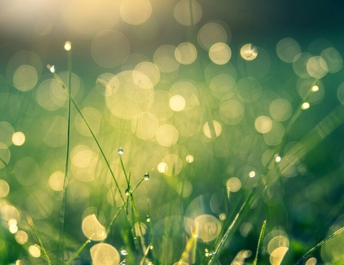 Неврология - Лечебные программы - Санаторий «Жемчужина Кавказа» Ессентуки